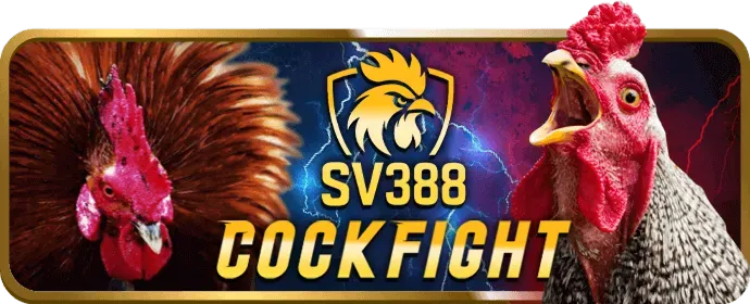 Bảo mật và Hỗ trợ Hong888
